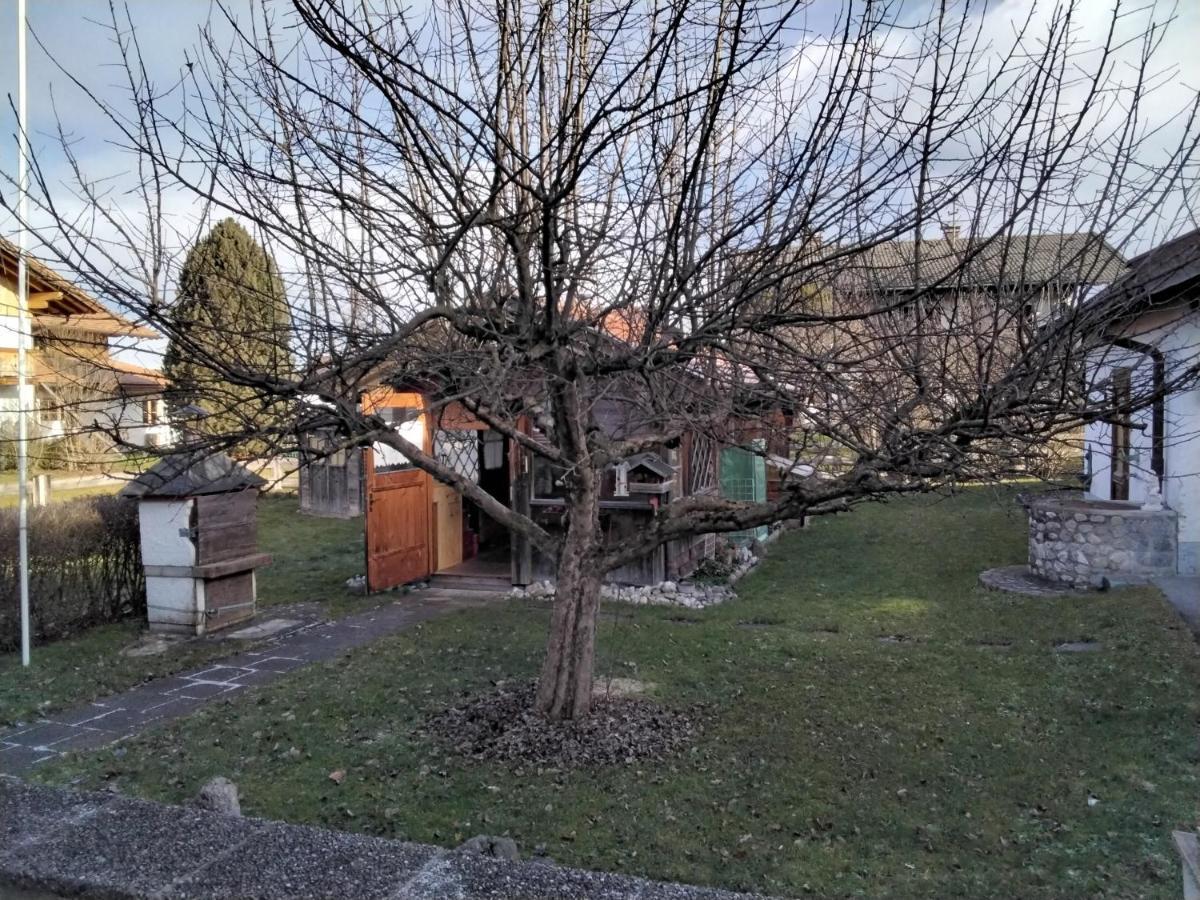 Ferienwohnung Maxl Fischbachau Zewnętrze zdjęcie